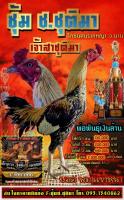 ไข่ไก่ชน อุปกรณ์ไก่ชน มีประกันขนส่งแตกส่งฟรีไปเลย