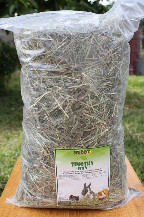 TIMOTHY Hay for Rabbit, Hamster, Guinea Pig 1KG | Lazada