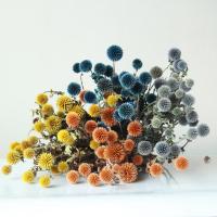 ☒๑ 1 Bunch Lmmortal Blue Planet Dry Flower Nordic Style Natural Dry Flower Bouquet Home Office Decoration Ornaments Dekoration