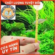 Nhiệt kế thủy ngâ n hồ cá,dụng cụ đo nhiệt độ nước hồ cá cảnh tép cảnh