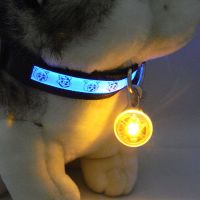 【CW】 WHOLESALE LED Pet Collar Pendant Flashing For Pet Safety Keyring Night Light Security Luminous Pendant Dog Cat Puppy