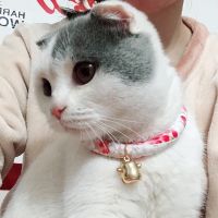 【CW】 Japanese Style Cat Bell Collar Necklace Cute Pet Accessories for Cats Dogs Puppy Sphynx Collars Pets Products Gatos collier chat