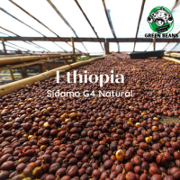 สารกาแฟ Ethiopia Sidamo G4/ Natural Process