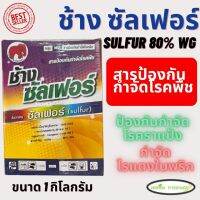 ช้าง ซัลเฟอร์(ซัลเฟอร์ 80%) 1 กิโลกรัม กำจัดโรคราแป้ง ราสนิม ไรแดง กำมะถัน ไล่งู ไล่สัตว์เลื้อยคลาน กำจัดไรในพริก