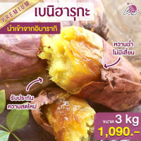 มันหวานญี่ปุ่น เบนิฮารุกะ 3kg มันญี่ปุ่นหวาน มันญี่ปุ่นแท้ มันหนึบ มันหวาน มันหวานญี่ปุ่นsp มันหวานญี่ปุ่นmg กุ้งมังกรสด มันญี่ปุ่น