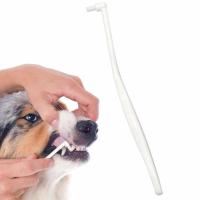 Mini Cat Toothbrush Dog Toothbrush For Puppy Pet Toothbrush For Lovely Cat To Fit Into Cat/Kittens Mouth Toys