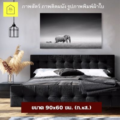 REAL HOME ภาพติดผนัง ภาพช้าง ภาพขาวดำ ขนาด 90x60 ซม. (ก.xส.) รูปติดผนัง ภาพตกแต่ง ภาพสัตว์ ภาพตกแต่ง ภาพพิมพ์ กรอบรูปติดผนัง กรอบรูป ภาพแขวน