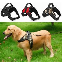 Dog Cat Pet Control Harness and Leash Collar Mesh Strap Vest Soft Chest M L XL