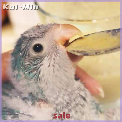 Kui-Min 5ชิ้นนกแหลมช้อนป้อนอาหารสแตนเลสตัวป้อนนกแก้วยานม