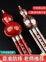 ♞◊✲ Yige gourd silk musical instrument for beginners c down b adult professional playing childrens primary school students