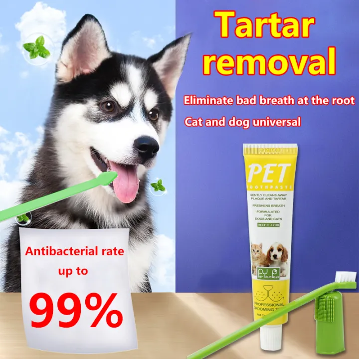 can dogs take toothpaste