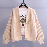 利Fresh Sweater Cardigan Coat Womens 2023 Autumn New Korean Style Anti-Aging Loose And Lazy Style Outerwear Sweater Female