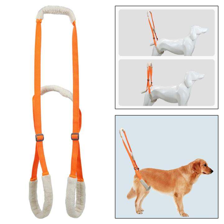 Aimishion Dog Lift Harness Pets Rear Support Helpful for Senior Dogs