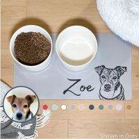 Dog Mats Using Pet Photo Name PU Waterproof Dog Food Mat Personalized Dog Placemat Custom Dog Bowl Mat Pet Anti-slip Mat