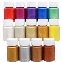 Metal Glitter Acrylic Paint  Silver Bronze Paint Acrylic DIY Resin Clay Shoe Statue Plastic Art Colo Leather Paint