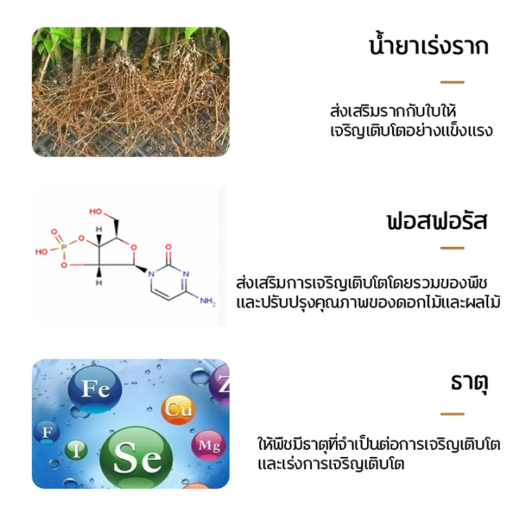 เข้มข้นสุดๆ-shanming-น้ำยาเร่งราก-อุดมไปด้วยธาตุจำนวนมาก-เร่งราก-ปรับปรุงภูมิคุ้มกันของพืช-ยาเร่งราก-500ml-หยั่งราก-คุ้มครองราก-รักษาราก-ผงเร่งราก-แก้ปัญหาเช่นรากเน่า-ปุ๋ยเร่งรากใบ-ผงเร่งรากพืช-ปุ๋ยเร