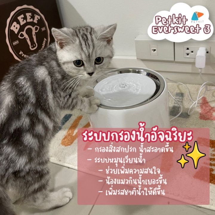 น้ำพุแมวใส่ถ่าน-y87-ประกันสูงสุด1ปี-petkit-eversweet-3-น้ำพุแมว-น้ำพุแมว2020-petkit-gen-3-อ่านก่อนซื้อจ้าเพื่อน้ำสะอาดให้น้องๆ