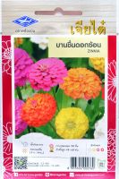 บานชื่น ดอกซ้อน Zinnia เมล็ดพันธุ์เจียไต๋ โฮมการ์เด้น