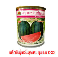 เมล็ดพันธุ์แตงโมลูกผสมขุนแผน C-30 แตงโมกินรี ตราตะวันต้นกล้า ขนาด40กรัม