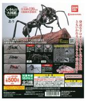 Bandai Ant Gashapon Figure (กาชาปองมด)