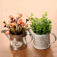 【CW】 Watering Can Garden Metal Iron Bottle Pot Bucke Decoration