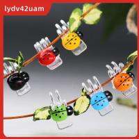 LYDV42UAM ที่หนีบรูปกล้วยไม้เต่าทอง5-ที่หนีบแบบกรงเล็บ30ชิ้นอุปกรณ์ตกแต่งสวนสีสันสดใสต้นบอนไซ