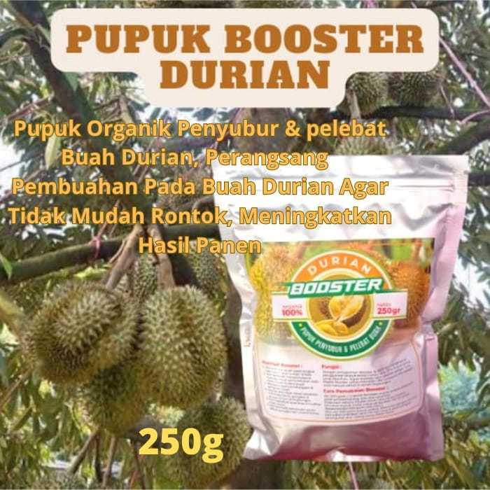 Pupuk Pelebat Buah Durian Organik Booster Durian Merangsang Pertumbuhan Dan Mencegah Kerontokan 8742