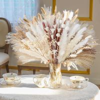 11Kinds of Dried Flowers Dried Pampas Grass Bouquet Boho Home Decor Bouquet Pompou Grass for Wedding Office Farmhouse Decoratio