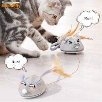 Interactive for Cats USB Charging Rat with Feather Play-Catch Training Indoor Kittens Pets Supply