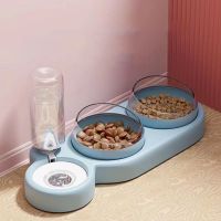 Double Bowl Drinking Raised Stand Cat Bowl Food Bowl Automatic Feeder Dish Bowls For Cats Pet With Water Fountain Dog Cat