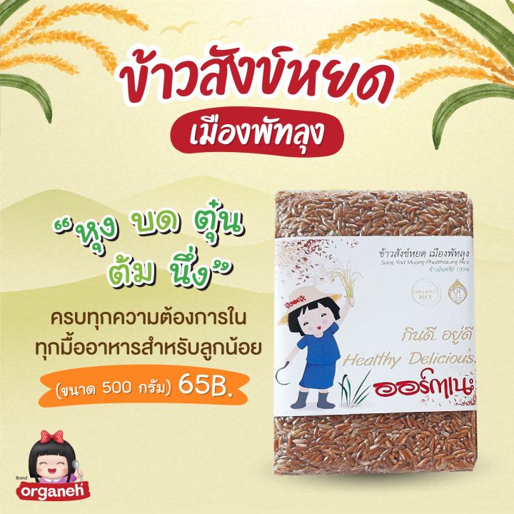 ข้าวสังข์-หยดเมืองพัทลุง-ข้าวออแกนิค-ได้รับรองgi