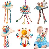 Montessori Baby Toys 1 2 3 Years Educational Pull String Toys Development Sensory Games For Babies 6 12 Months