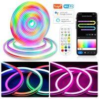 Waterproof RGBIC TUYA WiFi Led Neon Light Strip 12V 3M 5M Smart Dreamcolor Led Tape For Room Decoration Voice Control by Alexa LED Strip Lighting