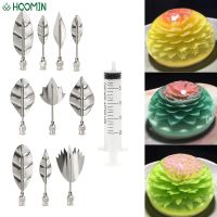 【CC】☊  Jelly Jello Gelatin 10 pcs Pudding Nozzle Syringe Tools Russia Decorating