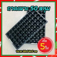 ถาดเพาะ 50 หลุม ? เซ็ต 5 ใบ (Seed Tray) ถาดเพาะชำ ถาดเพาะกล้า ถาดเพาะเมล็ด?