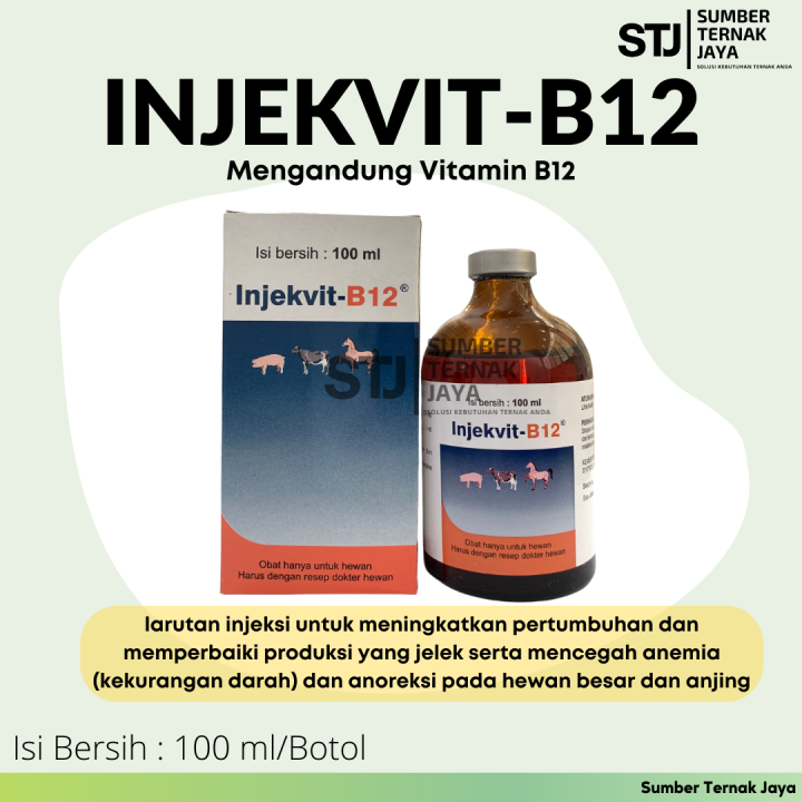 Injekvit B-12 100 Ml Larutan Injeksi Untuk Perbaiki Kondisi Tubuh ...