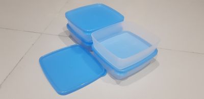 Tupperware กล่องเหมันต์มินิ (4)