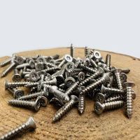 20 Buah M2.9 M3.5 M3.9 M4.2 M4.8 304 Baja Tahan Karat Enam Lobus Torx Kepala Countersunk Datar dengan Pin Keamanan Sekrup Kayu Mengetuk Sendiri