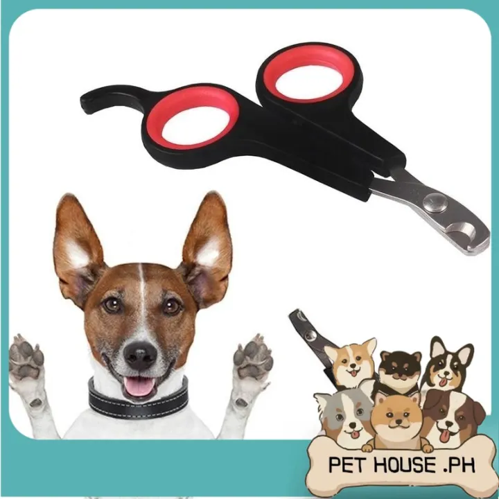 Pet House Dog Cat Nail Clipper Stainless Steel Scissors Puppy Kitten Nail  Cutter Cat Tail Design for Animals Cats Pet Shop Store Accessories Sale Hot  Deals Ivan Home | Lazada PH