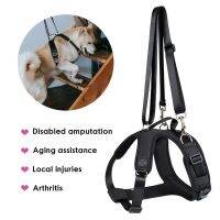 สายรัดพยุงสุนัขสำหรับขาหน้าและหลังผู้พิการผู้สูงอายุ Canine Aid Treat Injury Arthritis Adjustable Dog Split Lift Harness