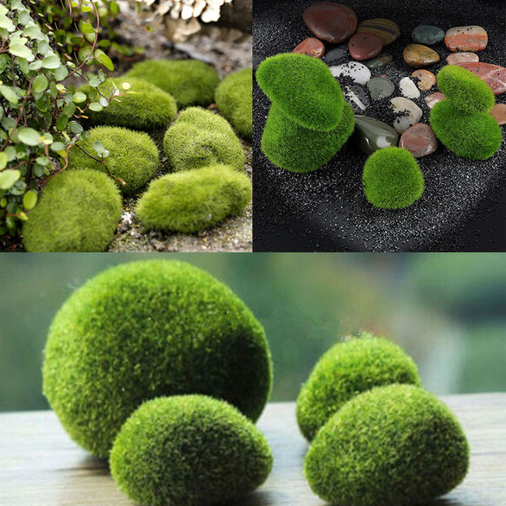 rayua-marimo-มอสหินหญ้าเทียมขนาดเล็กสำหรับสนามหญ้าสวนนางฟ้า