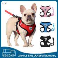 Pet Harness Vest for Small Dogs Teddy Chihuahua Harness Leash Puppy Chest Strap Breathable Mesh Vest Leash Set Pet Walking Lead Collars