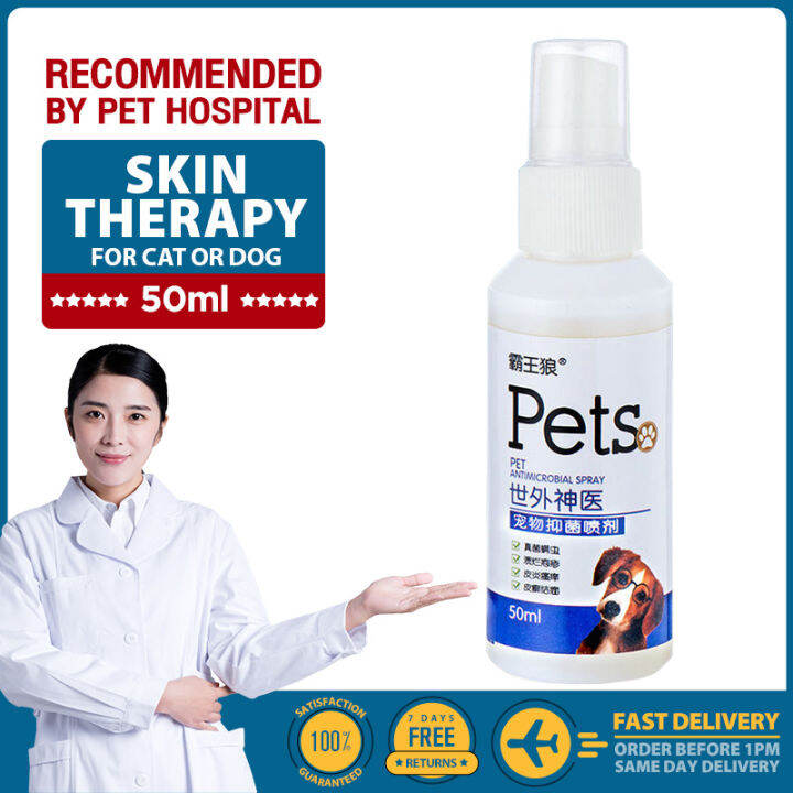 [Doctor recommended] Cat and dog skin disease spray 50ml sterilizing ...