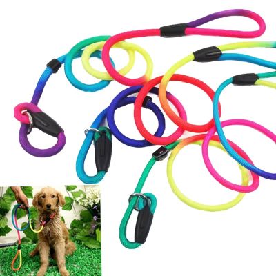 Rainbow Pet Dog Nylon Rope Training Leash Slip Lead Strap Adjustable Traction Collar Leashes