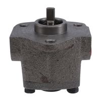 Hydraulic Pump TOP-13A Low Pressure Triangle Cycloid Pump Industrial Hydraulic Gear Lubrication Pump Triangle Oil Pump