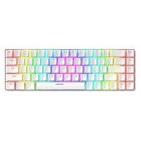 ZIYOU LANG Wired Gaming Mechanical Keyboard 68 Keys with Cool Rgb Luminous Lighting Effect Keyboard for Gamers/PC/Laptops