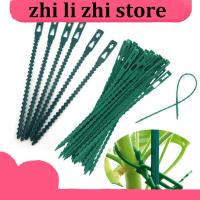 zhilizhi Store 50pcs Plastic Plant Cable Ties Reusable Tools Garden Grow Kit Tree Climbing Support Gardening Planter 13.5cm 17cm