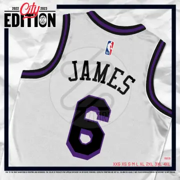 Shop Lebron Lakers Jersey City Edition with great discounts and prices  online - Oct 2023