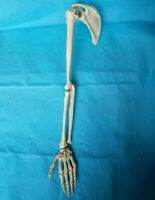 Package mail body 1:1 upper arm with the scapula bone skeleton medical teaching model