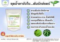 ชุดทำสารจับใบ น้ำยาจับใบ DIY ผสมน้ำได้ 12 ลิตร